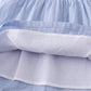 Premium Blue Cross Embroidery Set