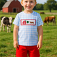 Blue Farm Embroidery Gingham Set