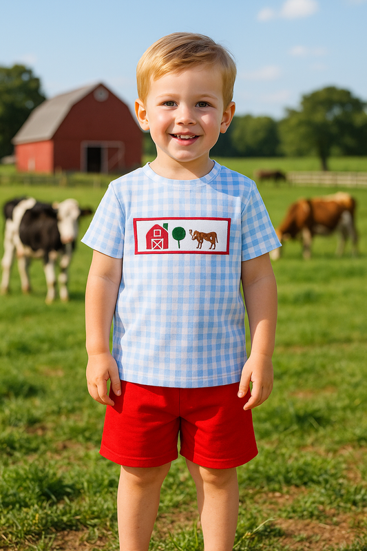 Blue Farm Embroidery Gingham Set